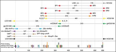 Validation and Development of COI Metabarcoding Primers for Freshwater Macroinvertebrate Bioassessment